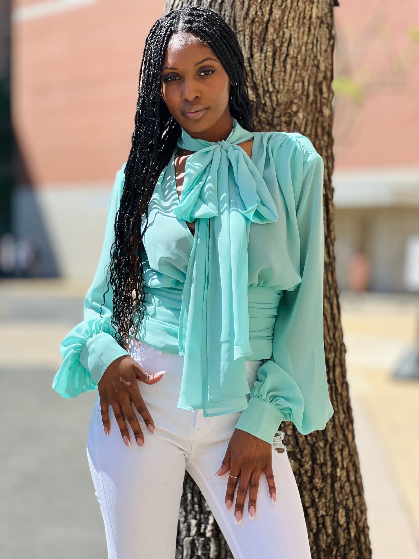 Chiffon tie neck top