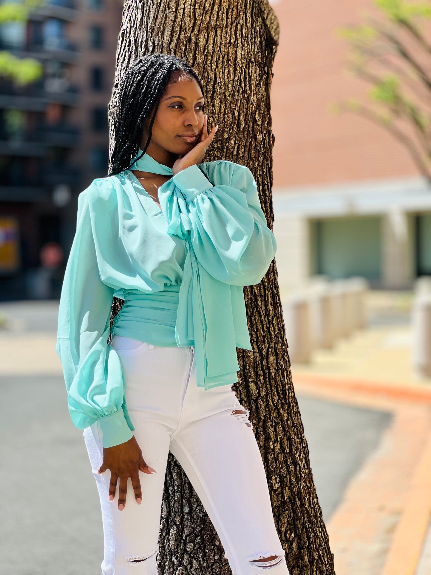 Chiffon tie neck top
